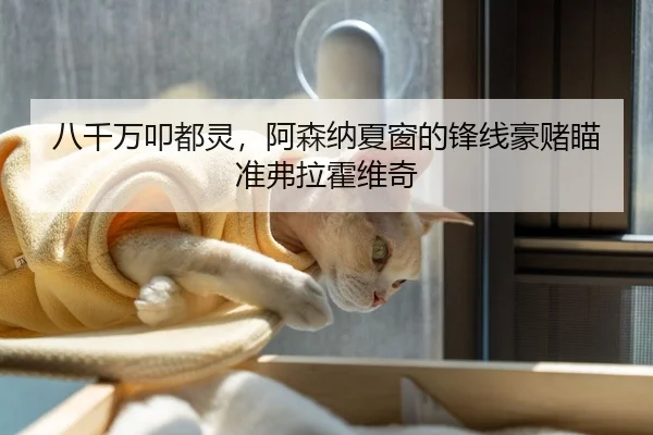 八千万叩都灵，阿森纳夏窗的锋线豪赌瞄准弗拉霍维奇